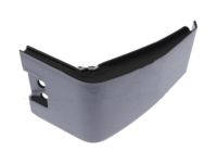 Ford FT4Z-5810176-AB Lower Molding, Black, Front Passenger Side