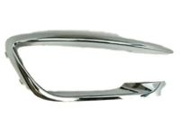 Ford HP5Z-15266-AA Trim Molding, Front Passenger Side