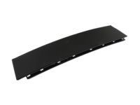 Ford FL3Z-16255A34-AA Moulding, Passenger Side