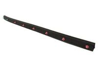 Ford JR3Z-16A239-A Side Seal, Front Driver Side