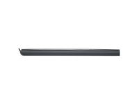 Ford 6L5Z-1021452-AA Belt Weatherstrip, Outer Passenger Side