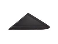 Ford CJ5Z-16003-AA Moulding, Driver Side