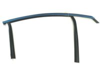 Ford DS7Z-5421596-A Run Channel, Front Passenger Side