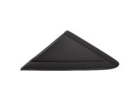 Ford CJ5Z-16003-BA Upper Molding, Front Driver Side