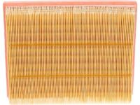 Ford DS7Z-9601-D Air Filter