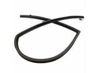 Ford 8L1Z-7821596-AC Run Channel, Front Passenger Side