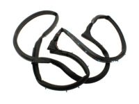 Ford F3UZ-1543722-A Weatherstrip, Rear Passenger Side