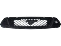 Ford FR3Z-8200-BA Grille, Black, Front