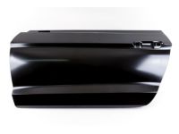 Ford FR3Z-6320201-A Panel Assembly - Door - Outer, Driver Side