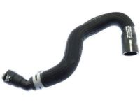 Ford DG1Z-8C289-B Reservoir Hose, Front