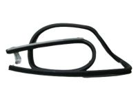 Ford 5C3Z-2625767-AA Run Assembly - Glass, Driver Side