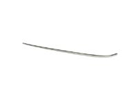 Ford 8A8Z-74423A18-BA Belt Molding, Rear Passenger Side