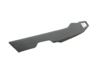 Ford FL3Z-1504608-CF Side Trim, Gray, Passenger Side
