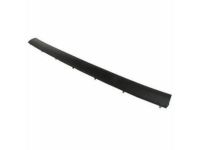 Ford AG1Z-5425324-B Lower Weatherstrip, Rear