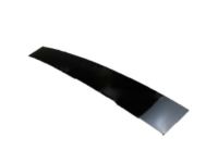 Ford 3W1Z-5420554-AAA Window Molding, Black, Passenger Side