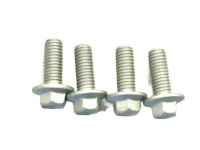 Ford -W500013-S442 Auxiliary Radiator Screw