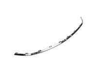 Ford DP5Z-8419-AA Lower Molding, Front