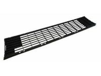 Ford BB5Z-17K945-AA Lower Grille, Front