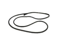 Ford 4C2Z-1520531-AA Door Weatherstrip, Front Outer Driver Side