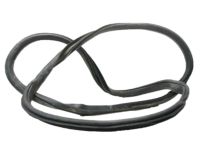 Ford FL3Z-1520709-A Weatherstrip On Body, Front Inner Driver Side