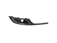Ford DA5Z-17E810-AB Lamp Bezel, Front Passenger Side