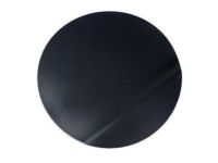 Ford AG1Z-54405A26-AAPTM Fuel Door, Rear
