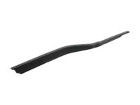 Ford FL3Z-1521452-B Weatherstrip Assembly - Door Window, Passenger Side