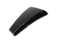 Ford 4R3Z-63279D36-CPTM Scoop, Passenger Side