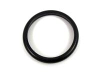 Ford -W700319-S300 Thermostat O-Ring, Rubber