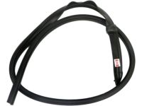 Ford 5L3Z-1651222-AA Door Weatherstrip, Passenger Side