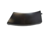 Ford 6L2Z-16038-BAPTM Front Molding, Passenger Side