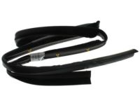 Ford FL3Z-1620758-B Lower Weatherstrip, Front