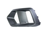 Ford G1EZ-15266-B Fog Lamp Bezel, Front Driver Side