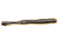 Ford AN7Z-54406A10-A Lift Cylinder, Rear