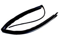 Ford 9C3Z-2551222-A Weatherstrip, Passenger Side