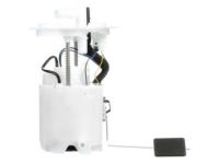 Ford DG1Z-9H307-P Fuel Pump, Passenger Side