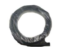 Ford CJ5Z-7820708-B Weatherstrip On Body, Front Inner Passenger Side