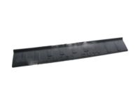 Ford 8C3Z-2513209-CB Scuff Plate, Charcoal/Steel Gray, Front Driver Side