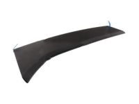 Ford DT1Z-1720939-BA Front Molding, Driver Side