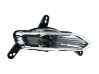 Ford GT4Z-15200-C Fog Lamp, Front Passenger Side