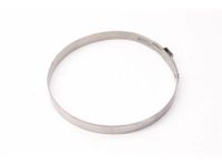 Ford 1L2Z-4B478-HA Clamp, Outer