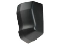 Ford FL3Z-1520976-AA Moulding, Passenger Side