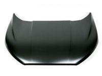 Ford GN1Z-16612-B Hood Assembly