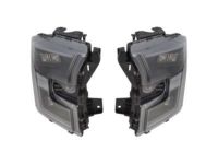 Ford HL3Z-13008-A Lamp Assembly, Passenger Side