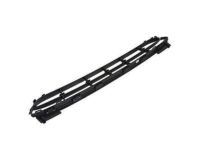 Ford DT1Z-17K946-A Lower Grille, Front