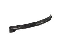 Ford DP5Z-5420520-A Front Weatherstrip, Passenger Side