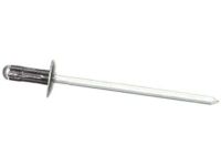 Ford -W709173-S417 Pillar Molding Rivet