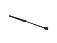 Ford GN1Z-74406A10-B Damper, Rear