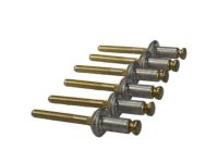 Ford -W705528-S300 Rivet Ford -W705528-S300 Rivet