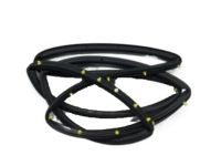 Ford CJ5Z-7825324-A Door Weatherstrip, Rear Outer Passenger Side